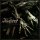 AUSTERE -- The Stillness of Dissolution  CD  DIGIPACK