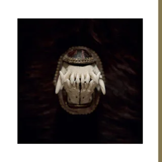 AMENRA -- De Toorn  MCD  JEWELCASE