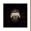 AMENRA -- De Toorn  MCD  JEWELCASE