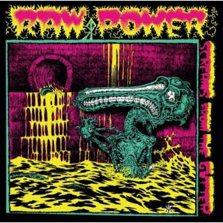RAW POWER -- Screams from the Gutter  CD  DIGIPACK