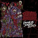 CELESTIAL SANCTUARY -- Visions of Stagnant Blood  12 EP...