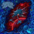 LABYRINTHUS STELLARUM -- Rift in Reality  LP  BLUE / RED...