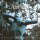 AUTUMN NOSTALGIE -- Metanoia  CD  DIGIPACK