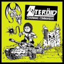 STERÖID -- Chainmail Commandos  LP  "NUCLEAR...