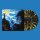 AMULANCE -- Feel the Pain  LP  SPLATTER