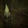 GRIMA -- Devotion to Lord  CD  DIGIPACK