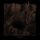 OBSIDIAN SCAPES -- Death Chants Echo from Aphotic Void  CD