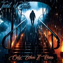 TWIST OF FATE -- Only When it Rains  CD