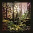 DWAAL -- Never Enough  LP  BLACK