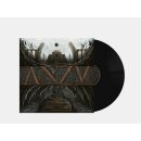 ANZV -- Kur  LP  BLACK