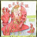P.I.L.A.U. -- Poisoned in the Pit  CD  JEWELCASE