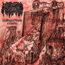 MEPHITIC CORPSE -- Sickness Attracts Sickness  CD  JEWELCASE