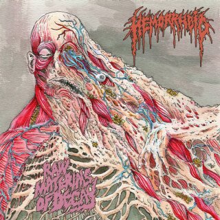 HEMORRHOID -- Raw Materials of Decay  LP  BLACK