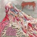 HEMORRHOID -- Raw Materials of Decay  LP  BLACK