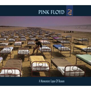 PINK FLOYD -- A Momentary Lapse of Reason  LP  BLACK