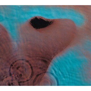 PINK FLOYD -- Meddle  LP  BLACK