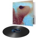 PINK FLOYD -- Meddle  LP  BLACK