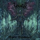 VALDRIN -- Apex Violator  LP  GALAXY