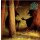 HERBARIUM / OLD SILVER KEY -- Secrets Untold  LP  BLACK